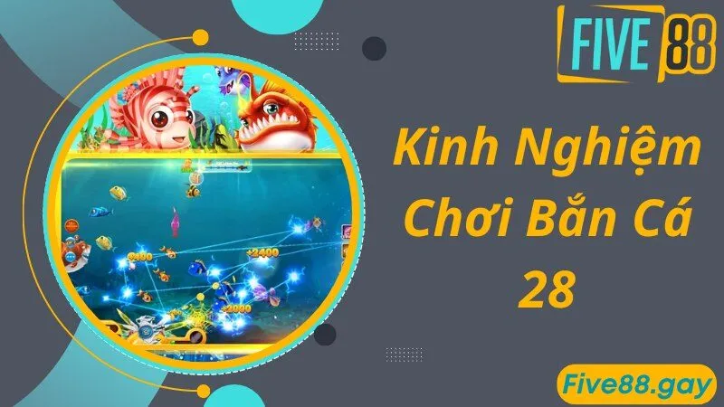 Kinh nghiệm hiệu quả bạn nên áp dụng khi chơi bắn cá 28