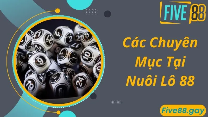 Các chuyên mục chính tại trang web Nuôi Lô 88