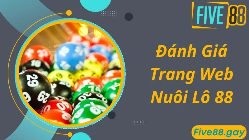 Đánh giá về chất lượng của trang web Nuôi Lô 88