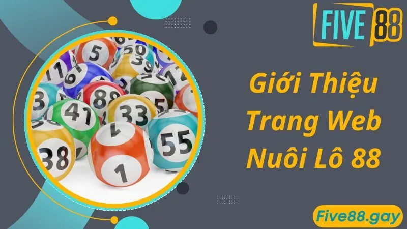 Giới thiệu về trang web Nuôi Lô 88 uy tín